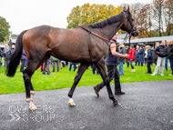 WG031025-56 - Jaramillo